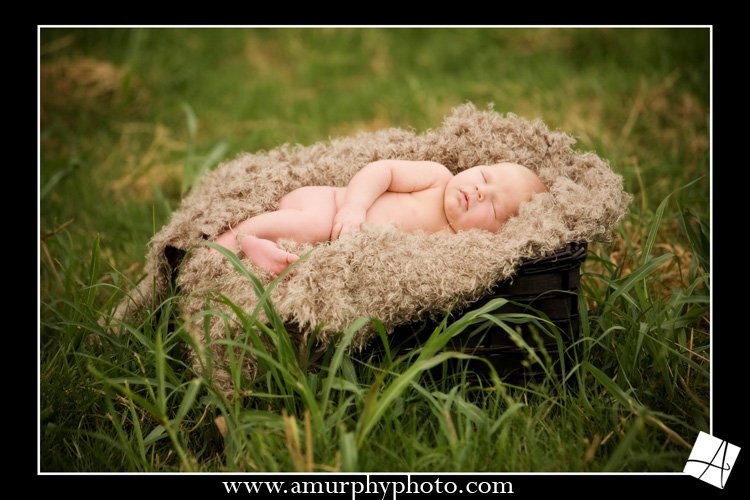 Ahh! Baby in a basket in a field! Does it get any better??