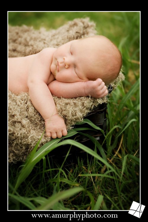 Definitely my favorite from the session! Babies that are less than 2 weeks old are great. Once they're asleep you can put them just about any squished up position that you want! Isn't this just darling?! Doesn't it make you want to leave a comment? ;-)